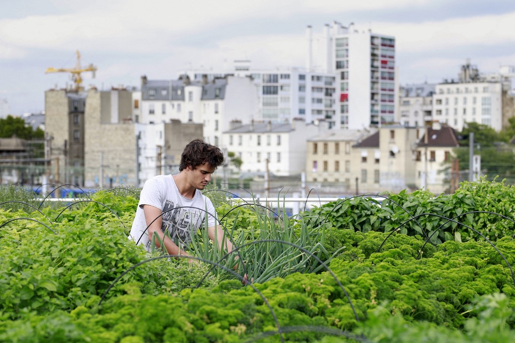 L’agriculture urbaine  l’avenir des villes